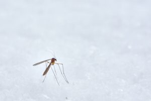 First-ever Zika Virus case reported in Maharashtra